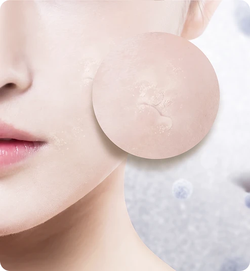 Basic Skincare | 기본관리