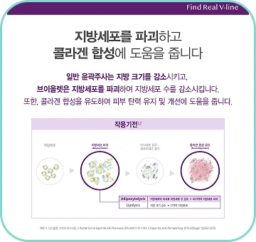 지방세포 파괴
